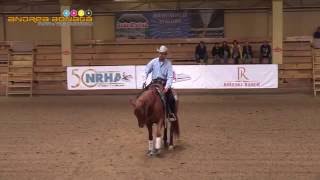 NRHA EUROPEAN AFFILIATE CHAMPIONSHIP POLAND 2016- LUKAS BRUCEK and GI A CLASSIC WHIZ