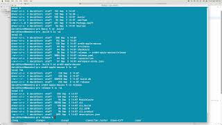 #132 Swift Package Manager - A Beginners Guide