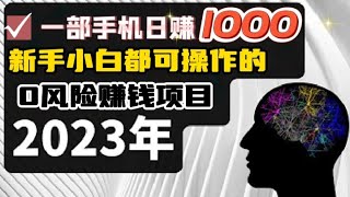 零撸项目，2023-2026年賺錢最快的行業！每天赚5000正规无风险，零基础的新手小白都可轻松上手操作