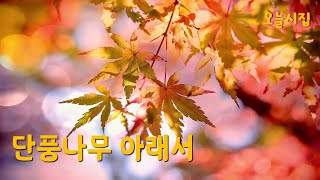 이 가을, 하나의 시를 읽으라면_단풍나무 아래서_이해인ㅣ오늘시집