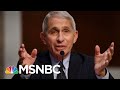 Fauci: Covid ‘Numbers Speak For Themselves’ | MTP Daily | MSNBC