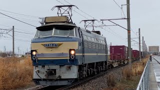 EF66 27牽引 高速貨2062レ 尾張一宮〜稲沢間 2021.1.24 13:01