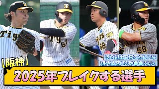 【阪神】2025年ブレイクする選手【なんJ/2ch/5ch/ネット 反応 まとめ/阪神タイガース/藤川球児】