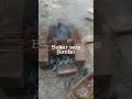 bakar sate jumbo#shorts #shortvideo #shortfund