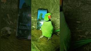 #mummy ek gilas Pani de do #funny #funnyanimal #funny #funnyparrot #funnyvideo #funnyshorts #video..