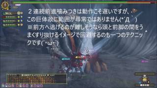 MHFG 10.1 GHCポボルバルム PT戦における双剣の立ち回り例～変撃双龍はかく語りき～