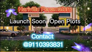 Harivillu Penamaluru Vijayawada Open plots #harivillu #penamaluru #openplotsinvijayawada #plots