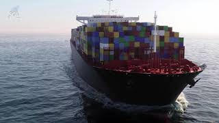 Shark Global Logistics Intro