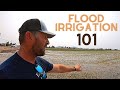 Flood Irrigation 101