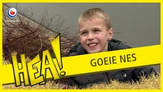 HEA: Goeie Nes