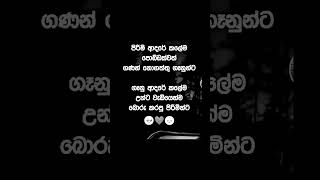 2025 පෙබරවාරි 19