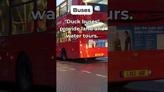 Buses 064