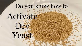 How to activate active dry yeast | Active dry yeast
