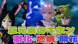 草元素のキホン!激化・燃焼・開花を解説!さらに関連する反応も補足できるShorts詰め合わせ【原神・げんしん】