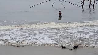 Cast Netting In the Sea. കടലിൽ വല വീശുന്നത് കണ്ടിട്ടുണ്ടോ 🤣