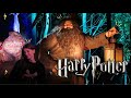 Harry Potter a forbidden forest experience! ⋆｡°✩ best experience EVER! 🪄⚡️