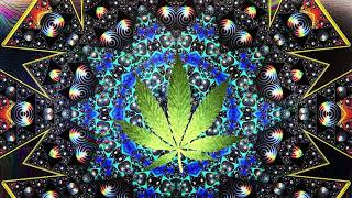 Psytrance Experience - Cannabis Control 👽 Space Hemp / T.H.C. mix 2023