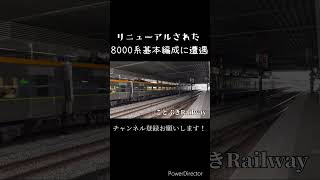 しおかぜ号のリニューアル車両に遭遇！#8000系 #しおかぜ