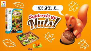 Speluitleg Squirrels Go Nuts - SmartGames