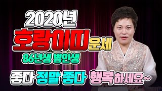 [일월당] 2020년 호랑이띠 신년운세/ 86년생 35세 범띠운세/ 2020년 정말 좋습니다! 행복한 한 해 되세요~ 금전운 건강운 직장운 사업운 대박운세 [인천점집 용한무당]