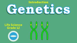Genetics | Introductions | Life Science grade 12
