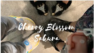 NEW NORMAL CHERRY BLOSSOM VIEWING|花見| Sabrio Land