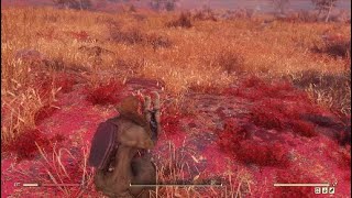 (FO76) ついにスコビクイーンソロ討伐！ワリィ、やっぱつれぇわw