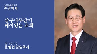 020225 주일예배 살구나무같이 꺠어있는 교회 윤성현 목사