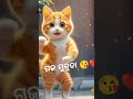 ମଲ୍ଲି ଫୁଲ ତିନି ତିନିଟା 🏵️😍😀 newsong song trendingshorts cartoon cutecat subscribemychannel