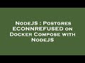 NodeJS : Postgres ECONNREFUSED on Docker Compose with NodeJS