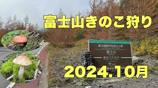 富士山きのこ狩り🍄2024年10月