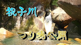 【渓流釣り】宮崎県の祝子川　釣り場公開！！