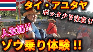 【ボッタクリ注意】アユタヤでゾウ乗り体験に人生初挑戦!!【タイ】