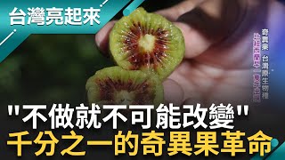 奇異果是台灣原生物種? 都市囝仔想改變農業 定居山上種台灣奇異果 送貨一肩扛累到果園都能睡還開車睡著出車禍! 翻轉菜土菜金.推環境永續｜記者 鐘心怡 楊育鑫｜【台灣亮起來】20231003｜三立新聞台