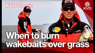 Wake shad burning over grass vegetation - fishing technique with Kevin VanDam