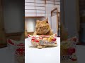 薄皮りんご入りカスタードクリームパン　のせ麦茶　230920