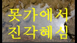 [깨달음TV]선시 \