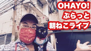 【🇹🇭生LIVE配信】OHAYO！ぷらっと朝ねこライブ！2021年11月18日木曜日