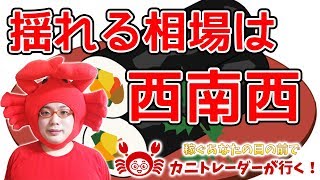 【揺れる相場、西南西】2020/2/3（月）FX実況ライブ生配信カニトレーダーが行く! 生放送533回目🎤★☆★現在収支+9,130,212円★☆