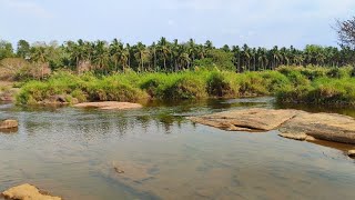 മീൻ പിടിക്കാനാന്നും പറഞ്  ഇറങ്ങിയതാ, പിന്നെ സംഭവിച്ച കഥ ഇങ്ങനെ...? | vlog 25