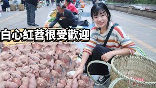 More than 100 catties of sweet potatoes earn more than 170 yuan