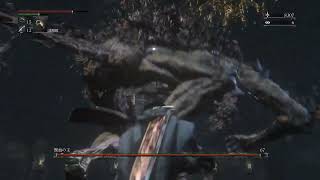 【Bloodborne/32】獣血の主 -深きトゥメル遺跡第四層- 22/6/21