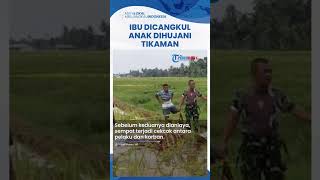 Diduga Cekcok Gara-gara Pengelolaan Sawah, Ibu di Padang Pariaman Dicangkul Anak & Dihujani Tikaman