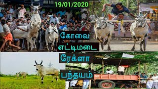 கோவை-எட்டிமடை ரேக்ளா பந்தயம் 200 மீட்டர் பரிசு காளைகள் 19/01/2020