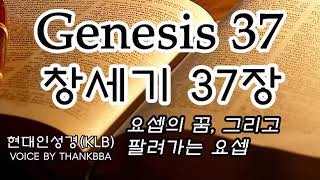 [성경하루한장]창세기 37장 Genesis - 현대인성경(feat.요셉의 꿈, 그리고 팔려가는 요셉)