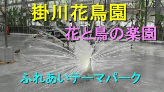 掛川花鳥園 Part1 花と鳥の楽園　ふれあいテーマパーク