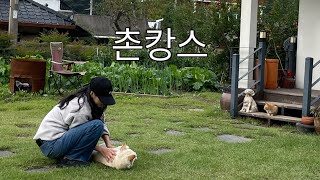 ep.2 삼시세끼 경산 촌캉스