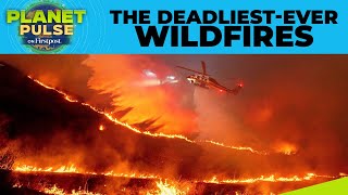 The 5 Most Devastating Wildfires in History | California Wildfires | Planet Pulse | N18G
