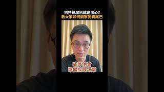 狗狗搖尾巴就是開心？教大家如何觀察狗狗尾巴！