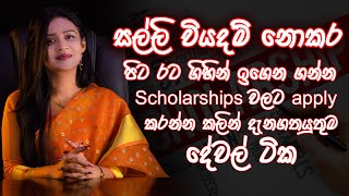 How to apply [ Foreign  Scholarship for Sri Lankan students 2023 | 2024